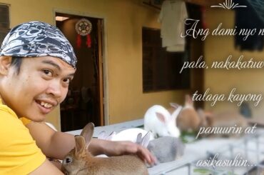 Bro's Rabbitry Cute Bunny