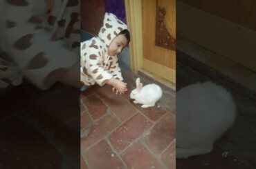 Cute Baby and Rabbit Funny Video