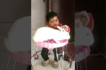 Cute Baby Playing With Rabbit || Baby Bash.