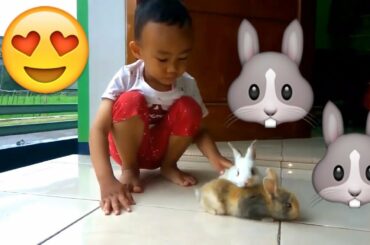 Two Cute Baby BUNNY Surprise for Baby Azzam | First Bunny Rabbit [2019] chơi thỏ