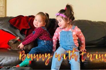 Bunny meet the twins! so cute ❤️💕