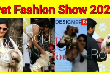 Chennai pet animal fashion show 2020@ savera hotel l Secret l The parrot, the rabbit l Dog l