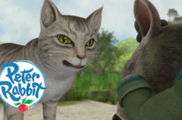 Peter Rabbit - The Cat and the Rat | Cartoons for Kids
