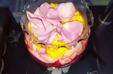 Little bunnies playing with rose petals