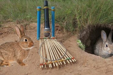 DIY Simple Rabbit Trap​ - How to Make a Simple Rabbit Trap Using Microphone and Pipe