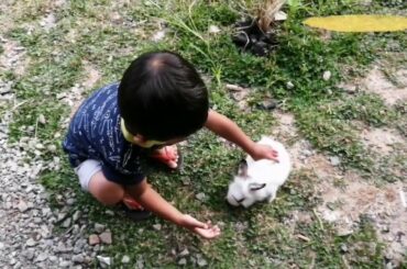 Mainan dengan Kelinci Lucu #BugsBunny #Rabbit |Abio Kids