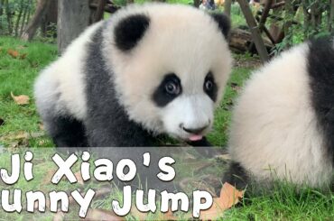Ji Xiao Shows Off Her Bunny Jump Skills | iPanda