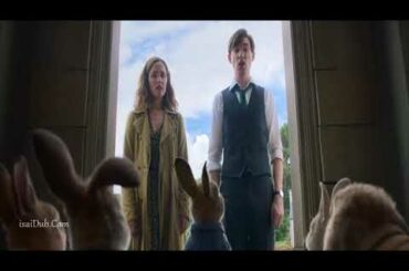 Cute rabbits Peeter rabbit