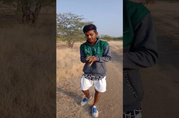 My favorite animal is rabbit cute. Rabbit looks great