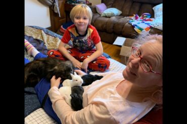 TTnO - Our Baby Bunnies!!