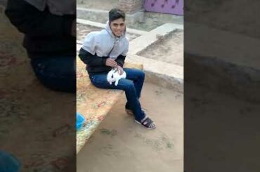 Mannu V/S 🦁(rabbit🐇