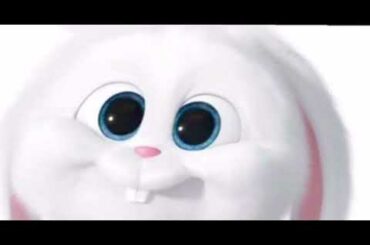 Cute bunny edit 🐰