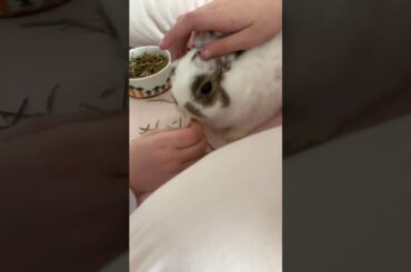 MY BUNNY IS SO CUTE