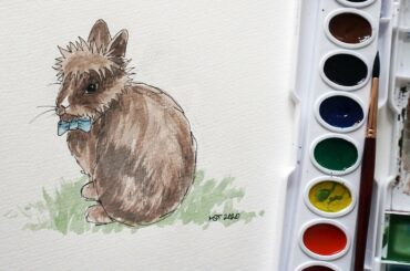 How to Draw and paint a Bunny Illustration in Watercolor - Oliver