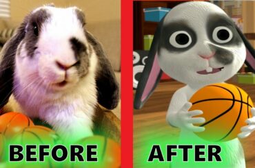 Bini the Bunny gets his own app - Hoppy Brush | Puzzle Game