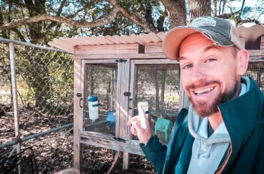 How to Make Money Raising Rabbits