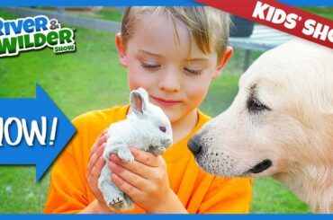 FARMING CHORES - BABY BUNNY RABBITS, CHICKS, PIGS, SHEEP