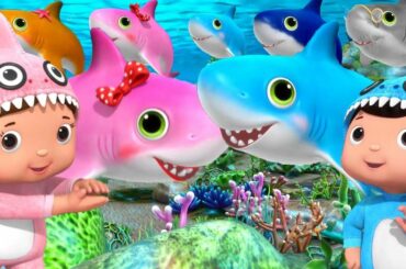 BABY SHARK! Nursery Rhymes and Kids Songs! Little Baby Bum Songs! Wheels On The Bus!