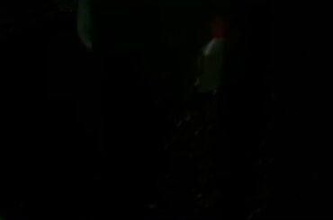 My cute bunny’s at night