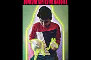 Someone gifted me Rabbits *Cute Rabbits*