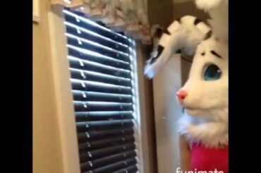 Cute bunny tiger fursuit (ear test)