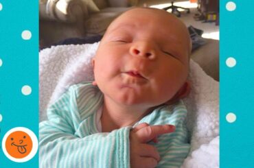 Funny Babies Can Fall Asleep Everywhere | Funny Babies and Pets