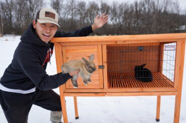 Starting My Own RABBIT FARM! (Buying Baby Rabbits)