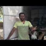 Ashiyana Rabbit farm ( 9895297205) Video:782 , ആഷിയാന മുയൽ ഫാം, Mr.Sajar ,Trichur