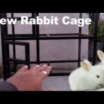 How to make house for rabbit very easy in hindi