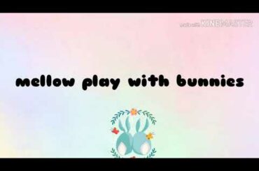 Mellow playing with bunnies|coco cockatiel