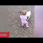 Funny adorbale babies with cute pets🌸❤️