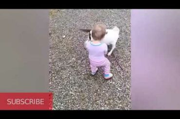 Funny adorbale babies with cute pets🌸❤️