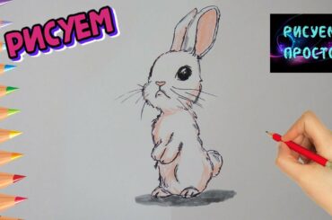 Как нарисовать МИЛОГО ЗАЙКУ, Рисуем Просто, рисунки для срисовки/698/How to draw a CUTE BUNNY