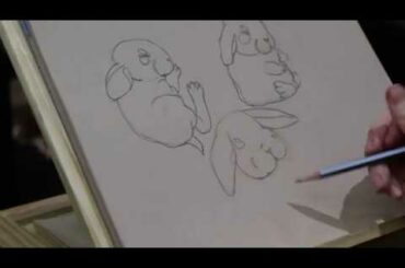 365 Days of Art, Day 114: Baby Bunny Sketches