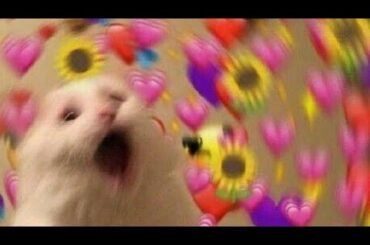 Ve 3st0 sI eStas Solit@ :) // 💖🧸