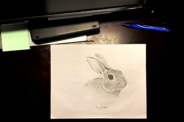 How to Draw a *PERFECT* Realistic Bunny