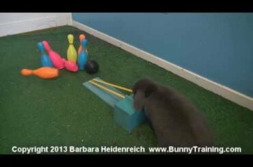 Super Cute Bowling Bunny