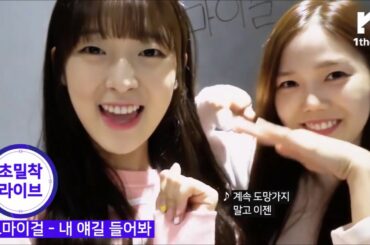 OhMyGirl - The cutest bunny Arin