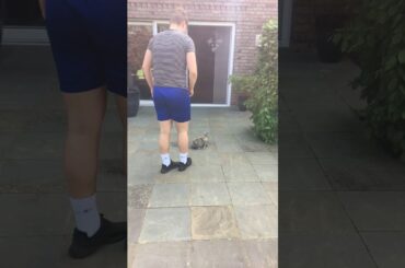 Dude is literally walking with a cute rabbit