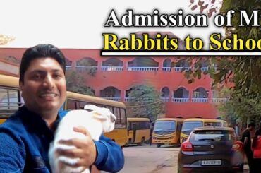 My Rabbits Admission in English Medium School | Rabbit Vlog with Indian Cute Couple