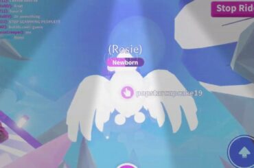 Flying bunny and adopting a baby minion