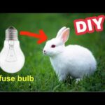 How to make rabbit with cotton using bulb at home in hindi | Gk craft