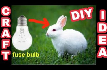 How to make rabbit with cotton using bulb at home in hindi | Gk craft