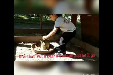 Cute Baby Playing With Rabbit