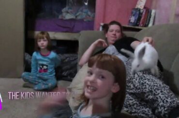 Cute Bunny Playtime!