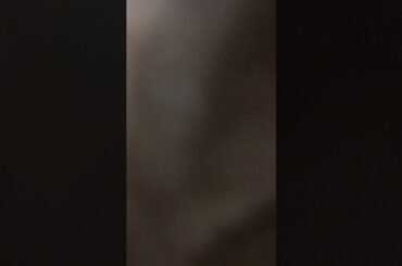 My cute rabbit (  my first toy whan l was 1 years old)