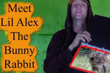 The Cute Bunny Rabbit Named Lil Alex