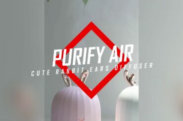 Cute Rabbit Ears Diffuser