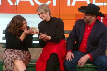 Heartland Docs Show Off 3 Exotic Pets: Tiny Hedgehog, Giant Rabbit + Cute Chinchilla