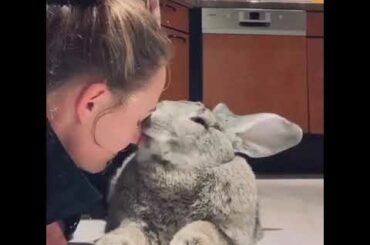 Bunny kisses 😌